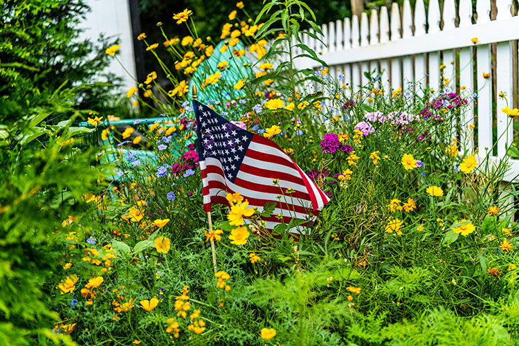 An American flag waving in a garden of flowers